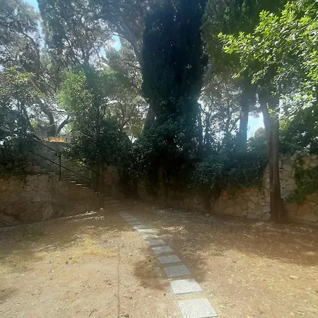 Old Captain's - In A Pine Wood By The Sea And Tennis Courts Apartment *