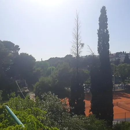 Apartment Old Captain's - In A Pine Wood By The Sea And Tennis Courts *