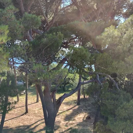 Old Captain's - In A Pine Wood By The Sea And Tennis Courts Apartment Split