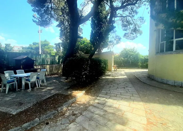 Old Captain's - In A Pine Wood By The Sea And Tennis Courts Lejlighed *