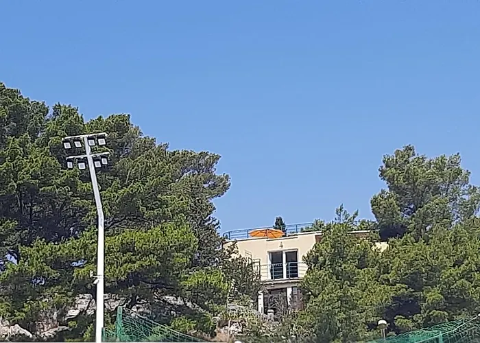 Lejlighed Old Captain's - In A Pine Wood By The Sea And Tennis Courts Split
