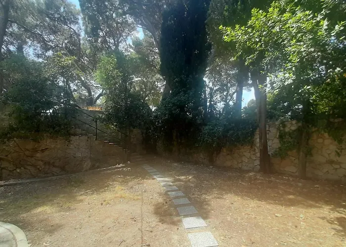 Old Captain's - In A Pine Wood By The Sea And Tennis Courts Lejlighed *