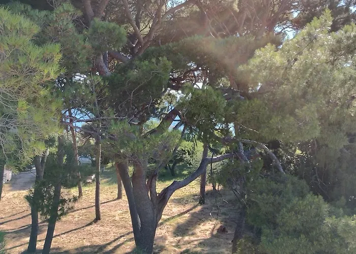 Old Captain's - In A Pine Wood By The Sea And Tennis Courts Lejlighed Split